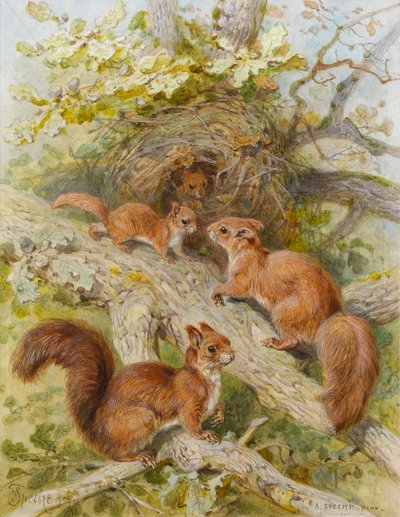 Red Squirrels by August Specht